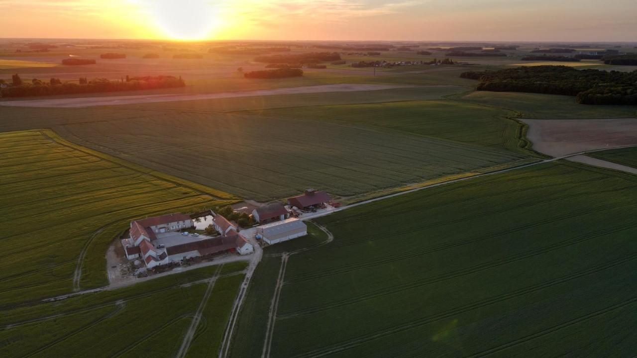 Bed and Breakfast Le Domaine des Hirondelles Champcenest Esterno foto