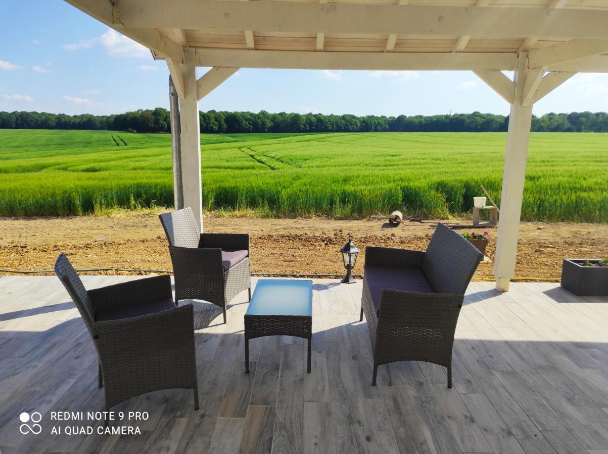Bed and Breakfast Le Domaine des Hirondelles Champcenest Esterno foto