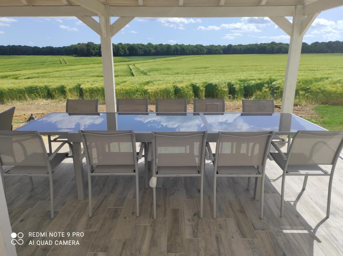 Bed and Breakfast Le Domaine des Hirondelles Champcenest Esterno foto