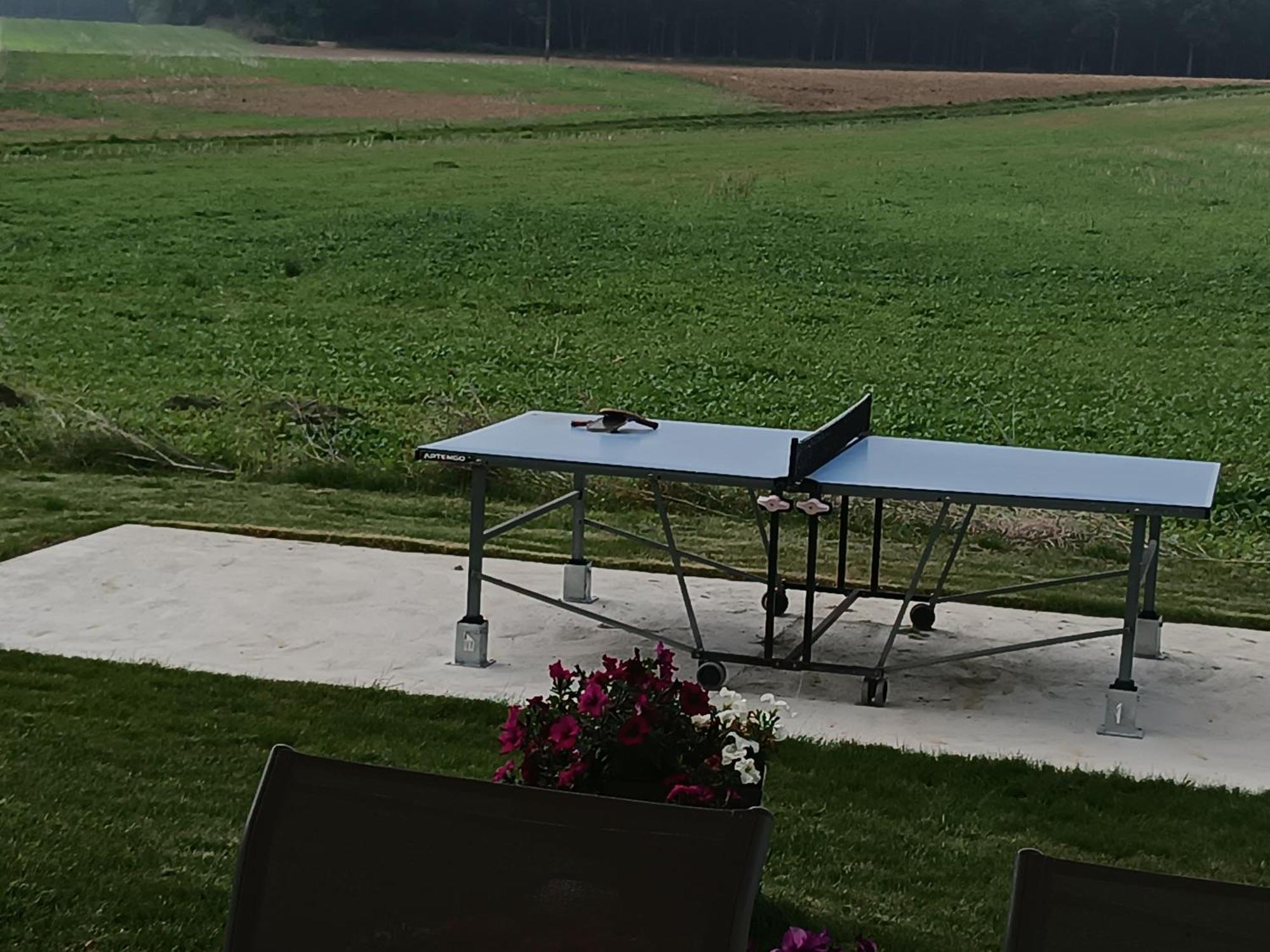 Bed and Breakfast Le Domaine des Hirondelles Champcenest Esterno foto
